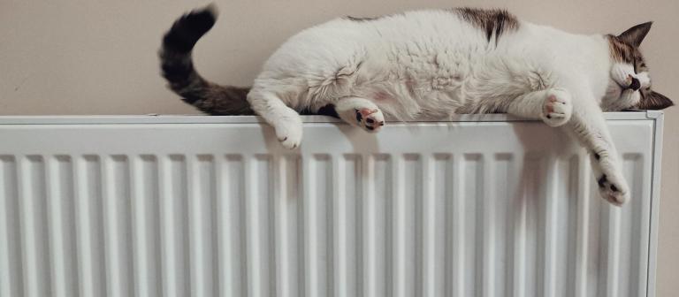 Foto van een kat op een radiator