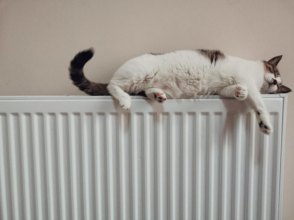 Kat op een verwarming
