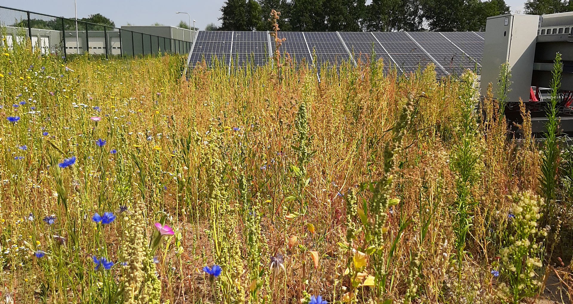 biodiversiteit als resultaat van terreinbeheer