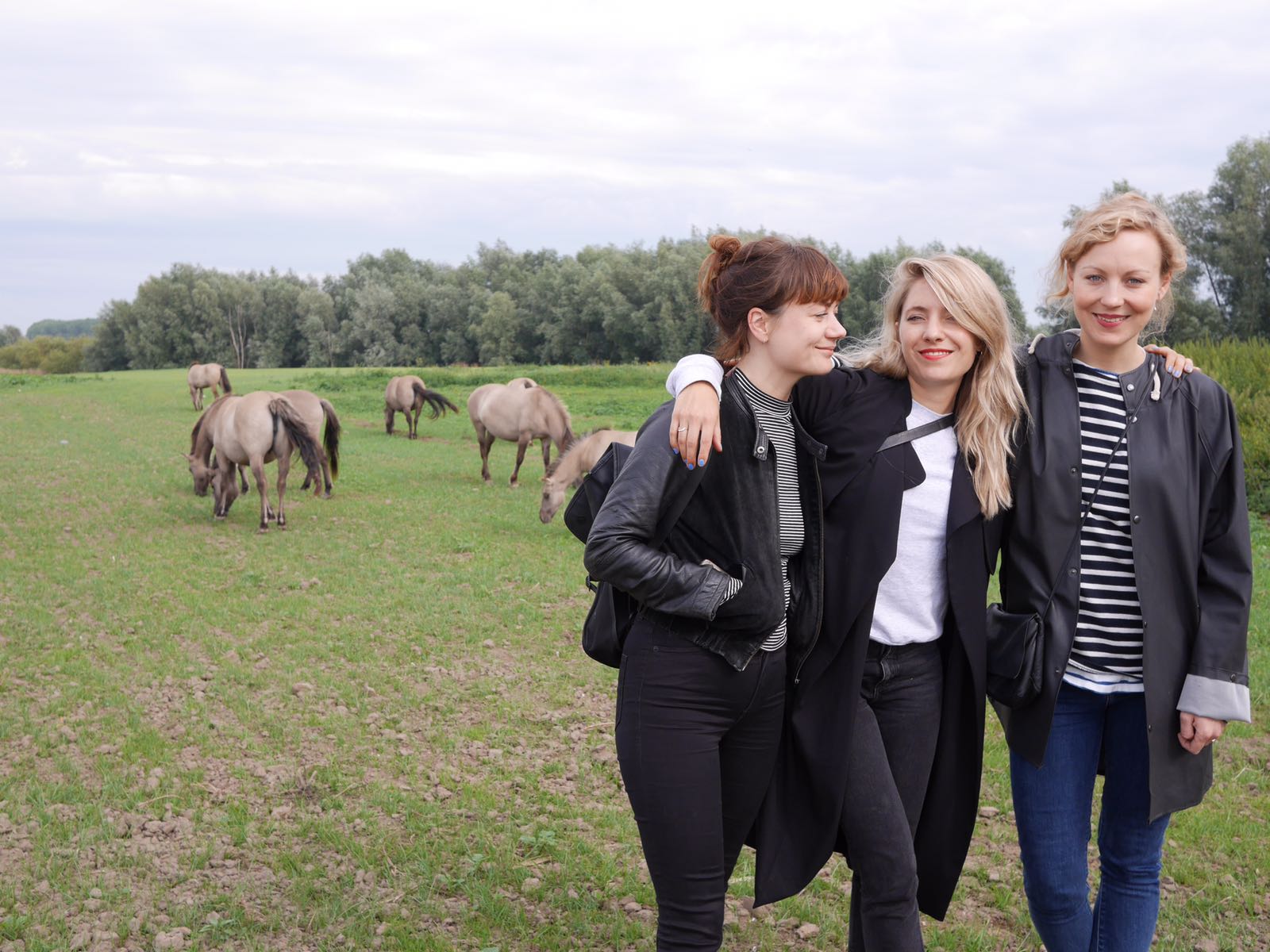Paarden