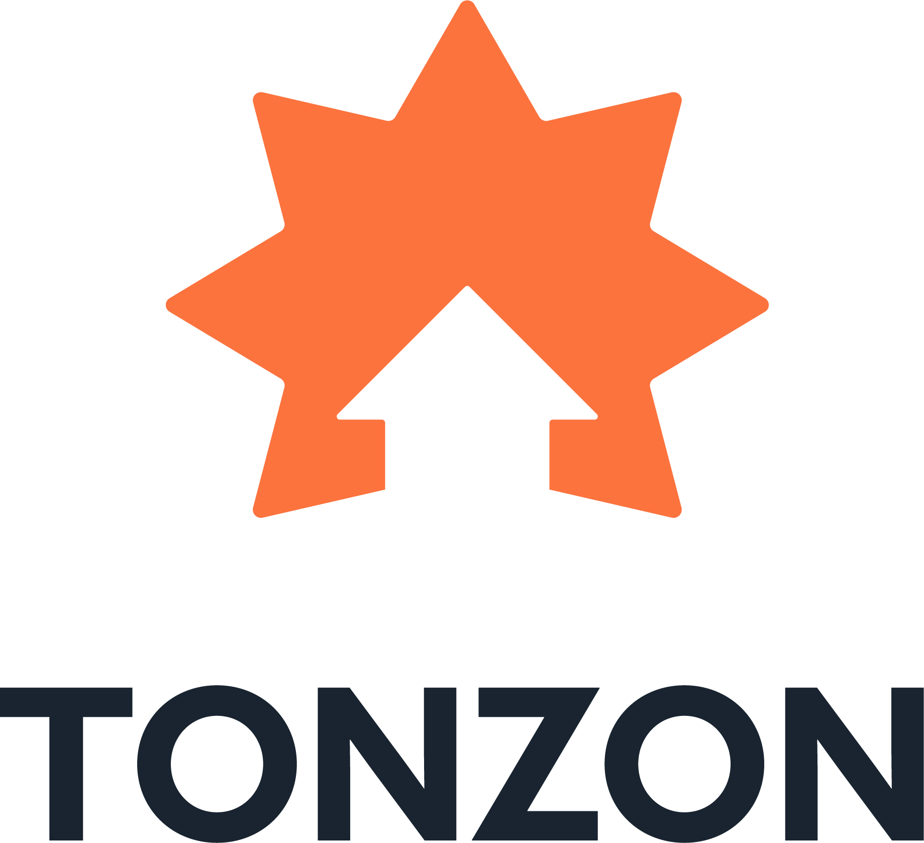 Logo TONZON