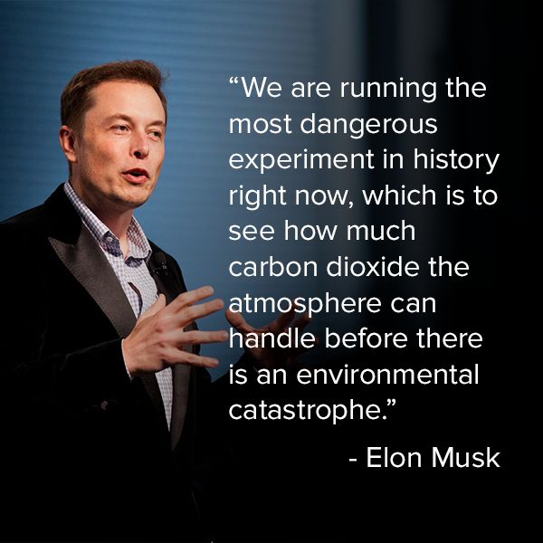 Quote Elon Musk