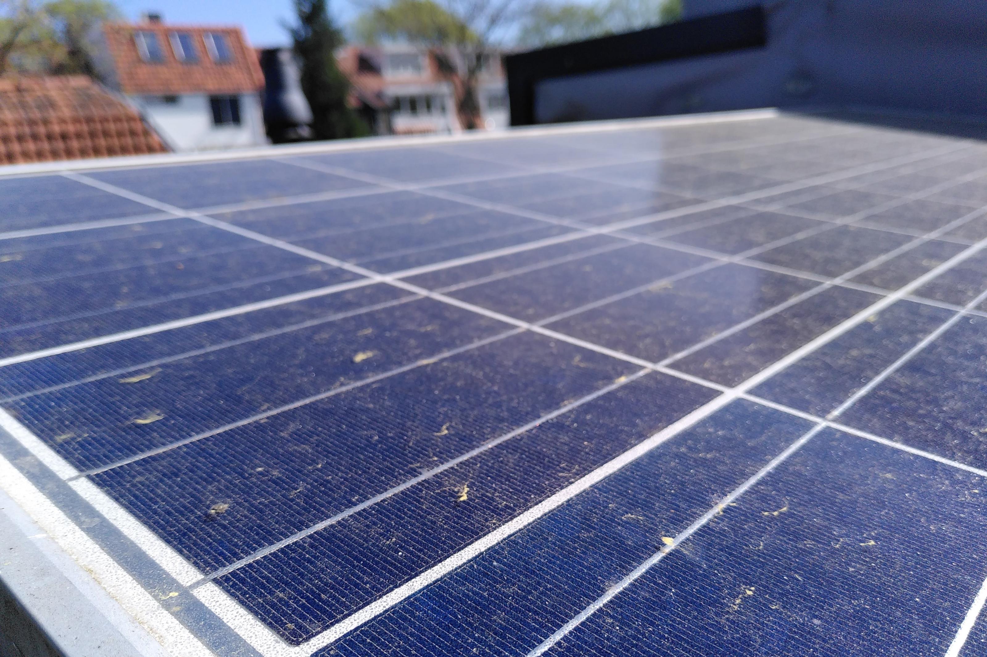 Zonnepanelen schoonmaken stuifmeel