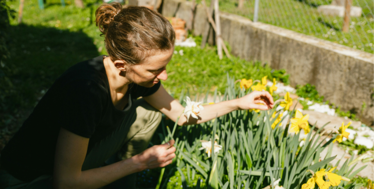Vrouw bij narcissen in tuin