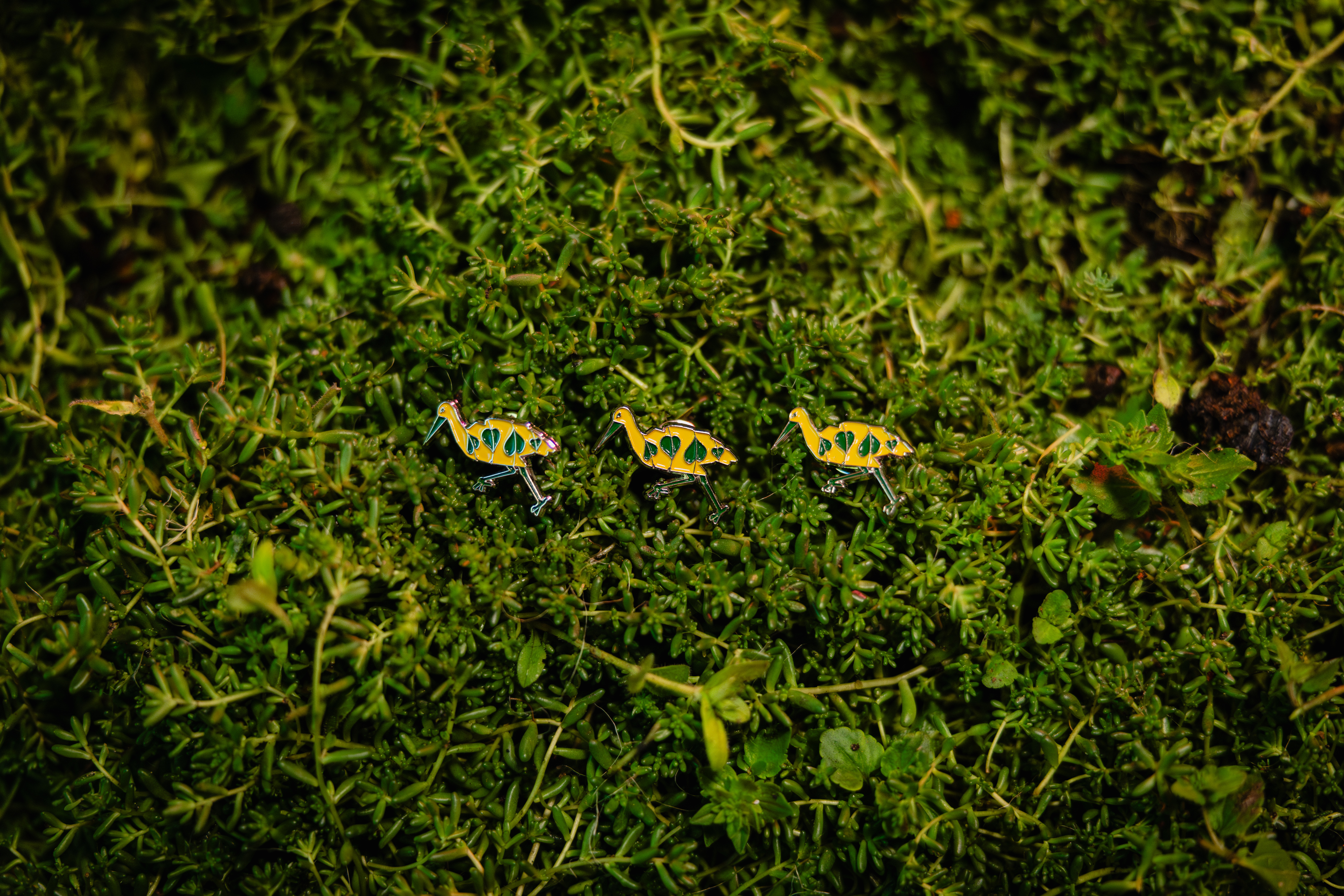 Groene Rega speldjes