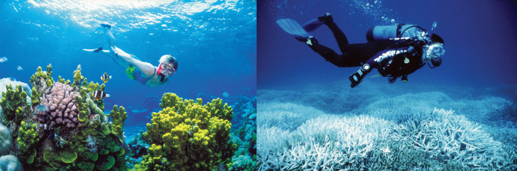 Foto van verbleking Great Barrier Reef