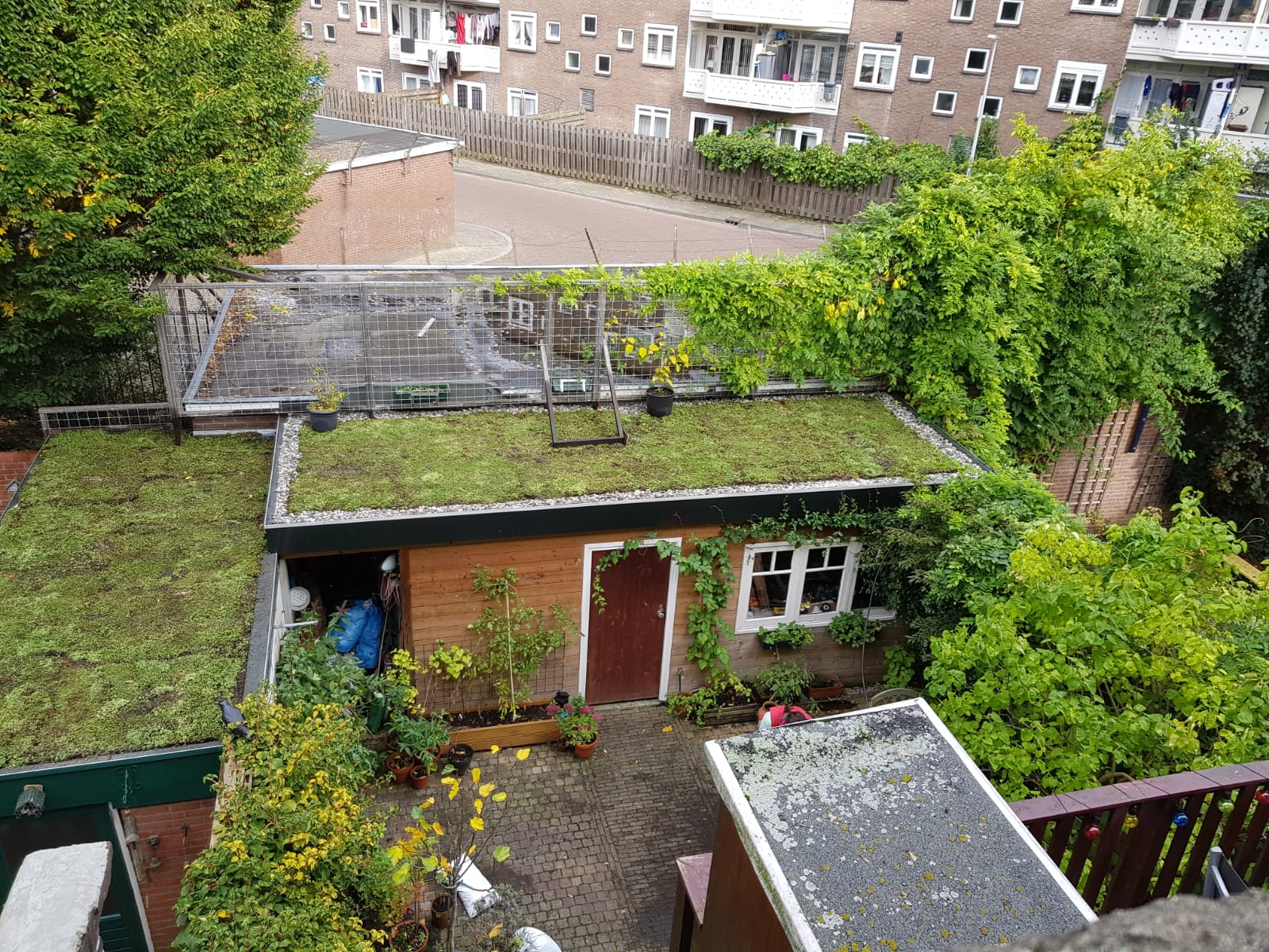 Foto van een groen dak op een schuur