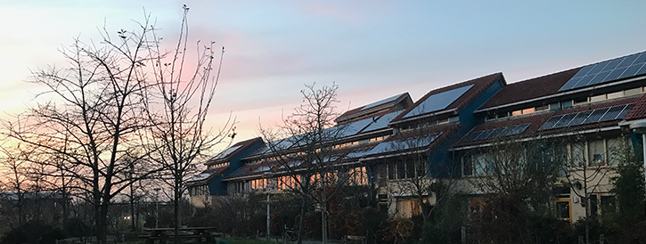 Onze buurt, De Kersentuin in Leidsche Rijn.