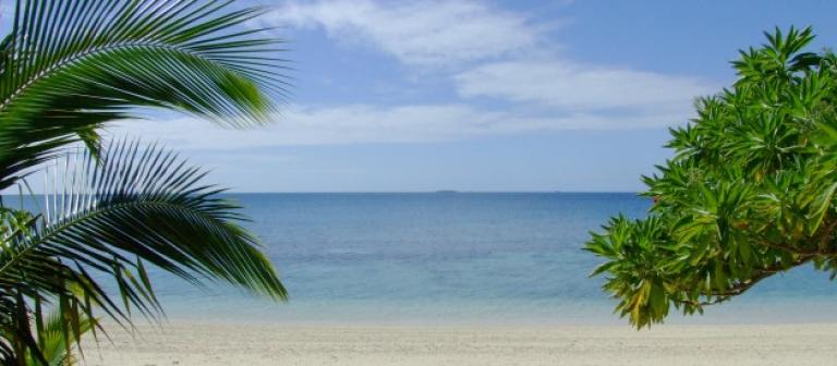 Foto strand palmboom zee 