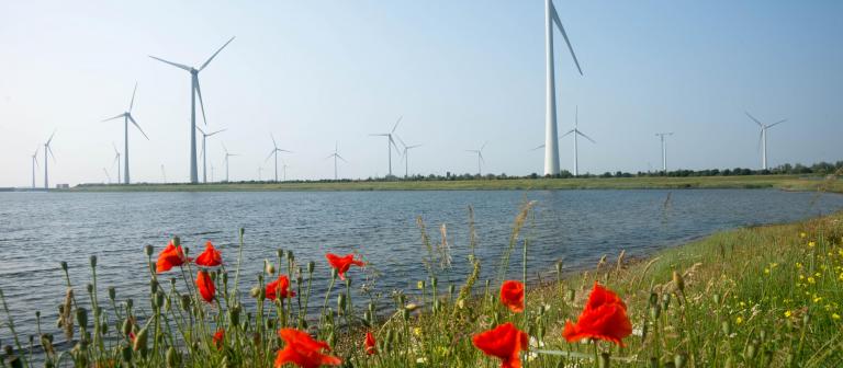 participatie windenergie