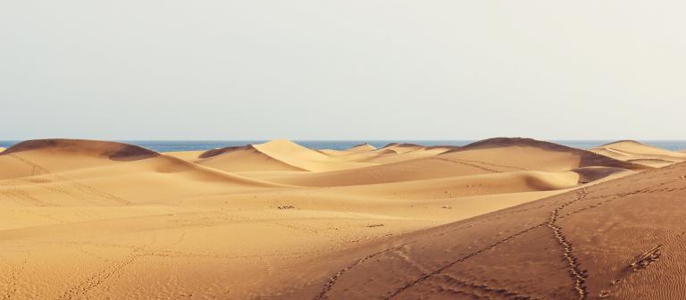 Foto van woestijn