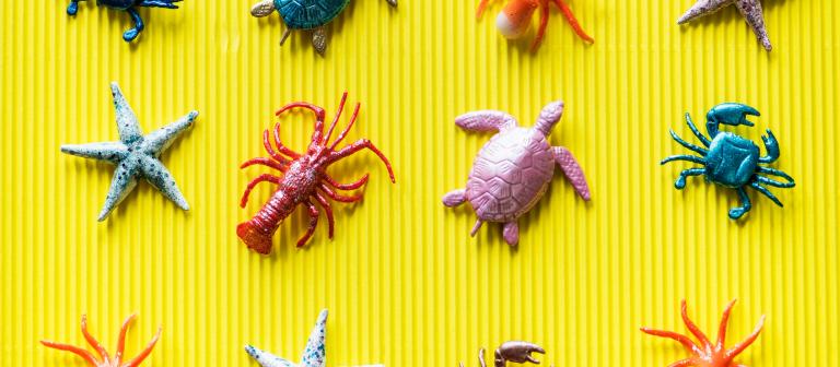 Foto van gekleurde zeedieren op gele ondergrond 