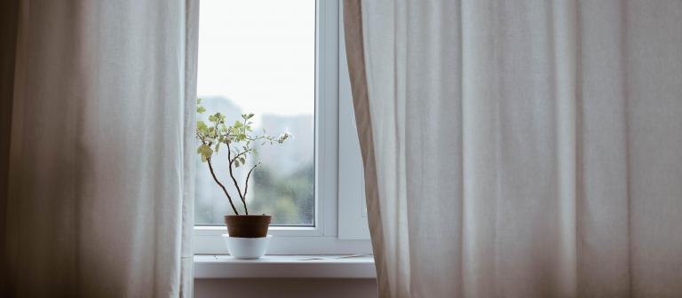 Foto van een raamkozijn met gordijnen en een plantje