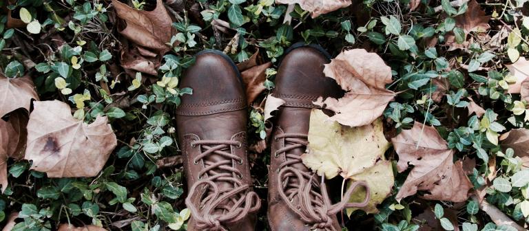 Photo By Melanie Kreutz twee bruine schoenen in herfstbladeren 