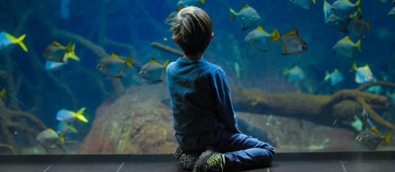 Kind bij aquarium