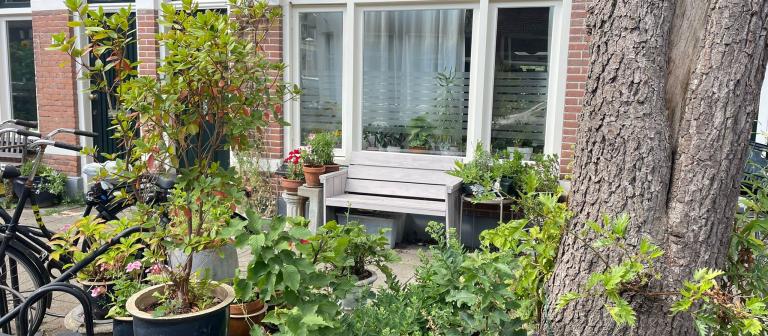 Geveltuintje en gemeente perkje