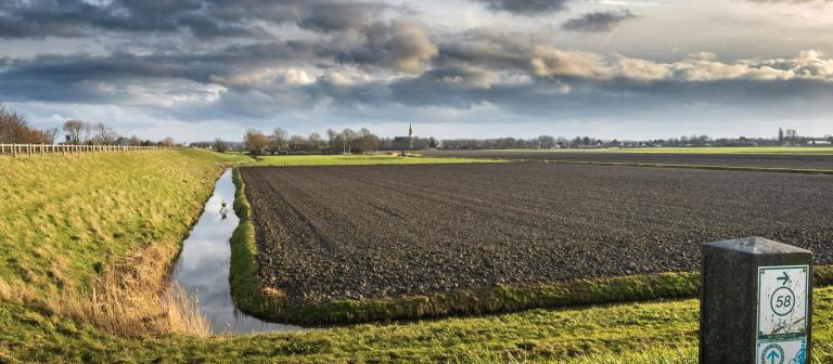 Nederlands platteland