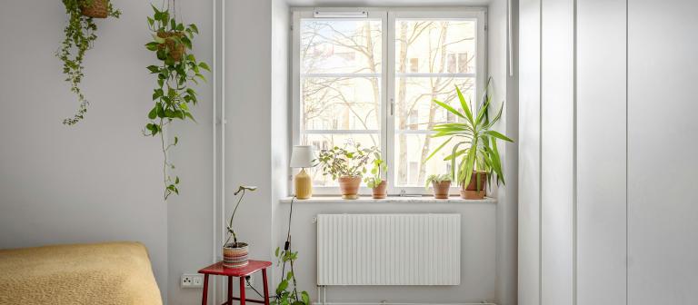Verwarming planten