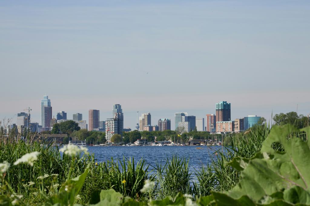 skyline rotterdam