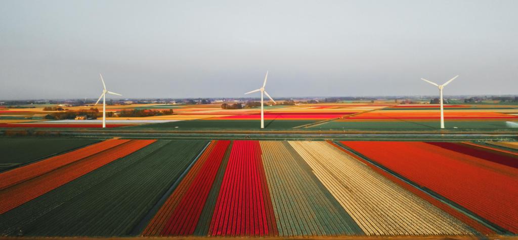 Foto van windmolens in bloemenvelden