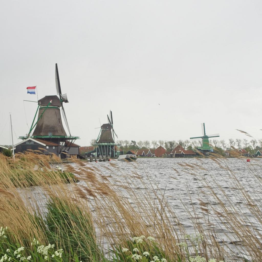 windmolens old skool nederland