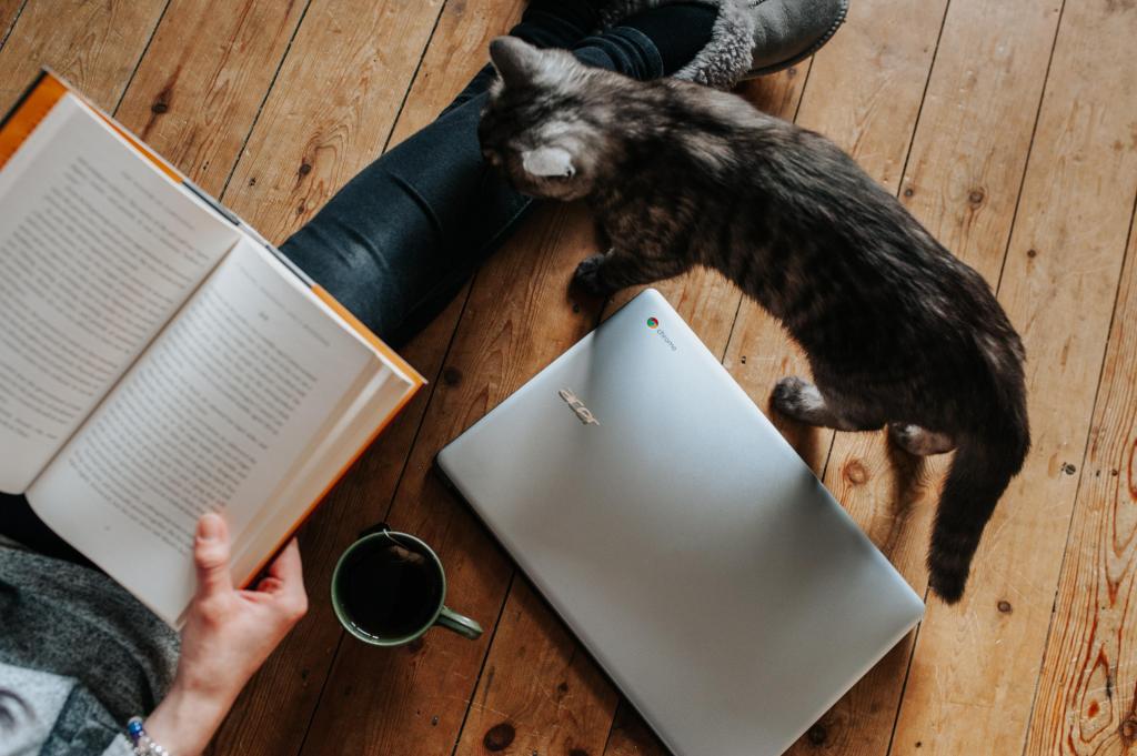 Foto van iemand die een boek leest op de grond met een laptop, koffie en een zwarte kat