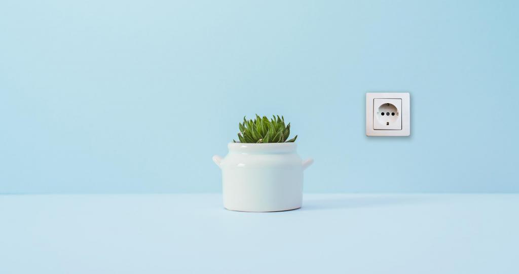 Foto van een stopcontact op een blauwe muur en groen plantje