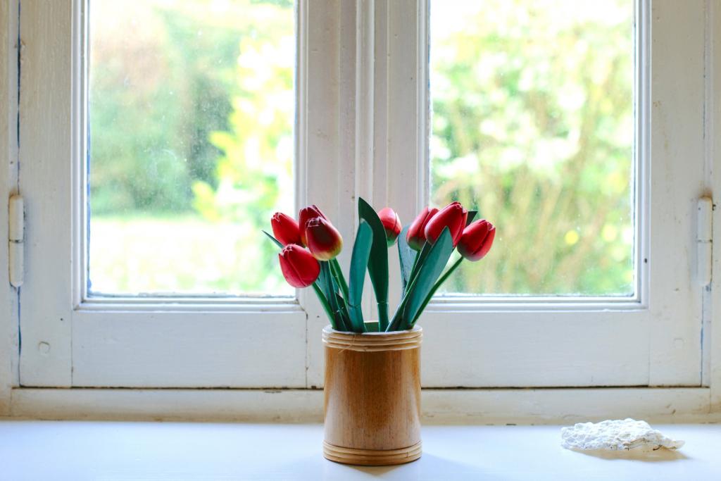 Foto van tulpen voor een raam