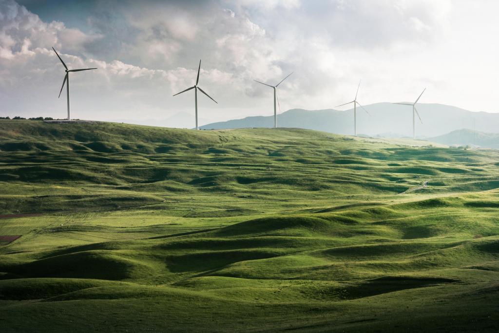 Foto van windmolens op groene vlakte