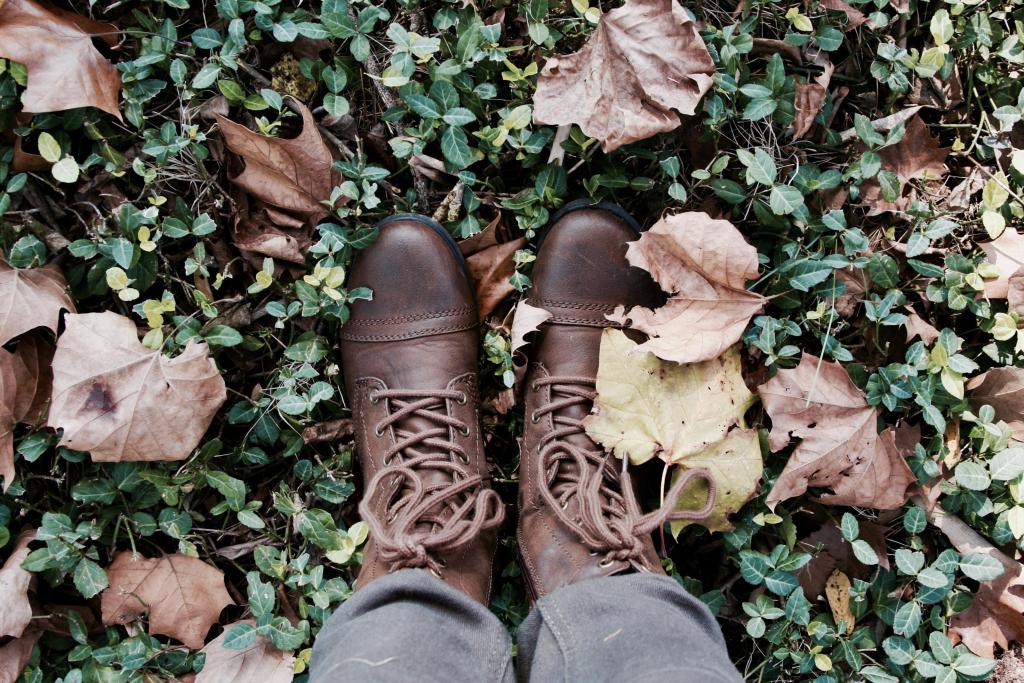 Photo By Melanie Kreutz twee bruine schoenen in herfstbladeren 
