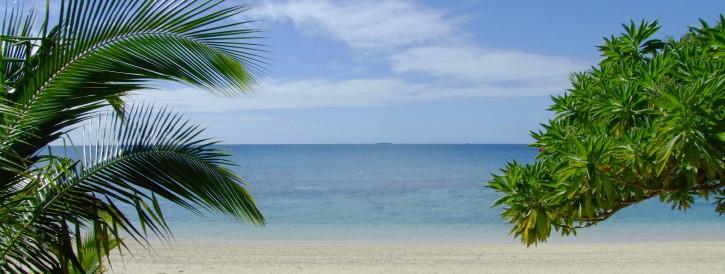 Foto strand palmboom zee 