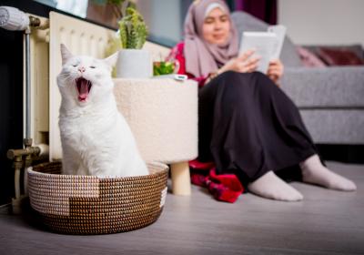 kat vrouw verwarming