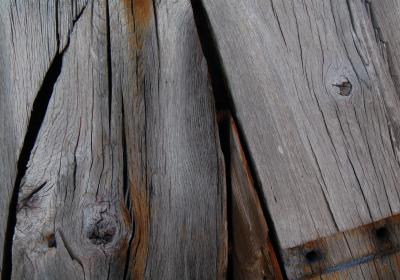 Biomassakachel verwarmt 94 Texelse woningen