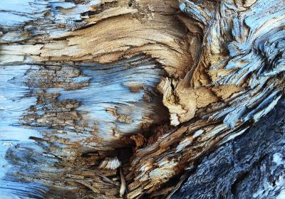 Duurzaam Hoonhorst wint prijs met dorpskachel