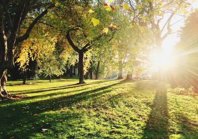 Samenwerken met Greenchoice