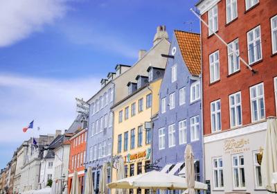 Leren van Denemarken