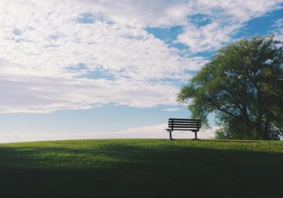 bestuursdilemma winst energieco&ouml;peratie