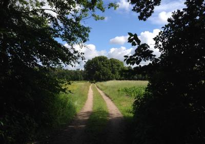 nederlands landschap