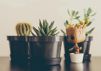 Groot figuurtje foto van James Pond via Unsplash