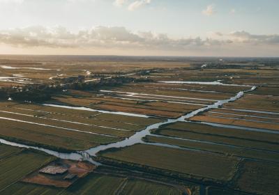 Foto veengebied Nederland 