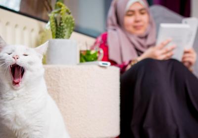 Foto van een kat en vrouw voor een radiator