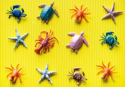 Foto van gekleurde zeedieren op gele ondergrond 