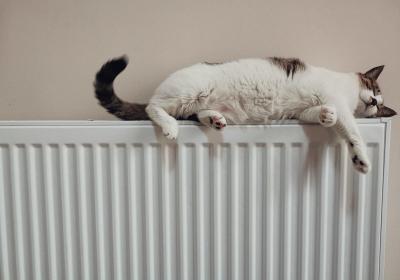 Foto van een kat op een radiator