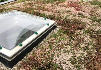 Groene dak van Sarah 