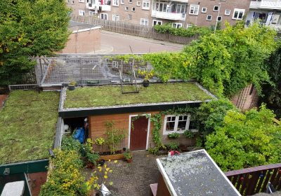 Groen dak aanleggen