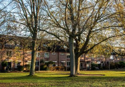 huizen aan veld met bomen