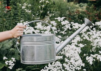 Foto met gieter water