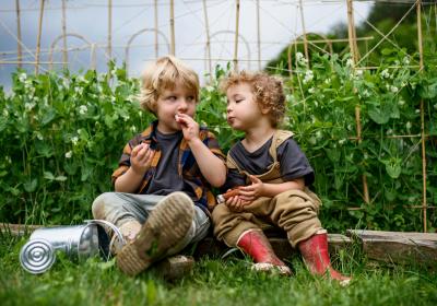 Kinderen spelen in de tuin 