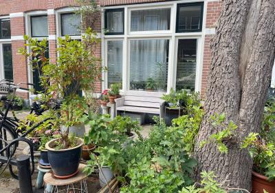 Geveltuintje en gemeente perkje