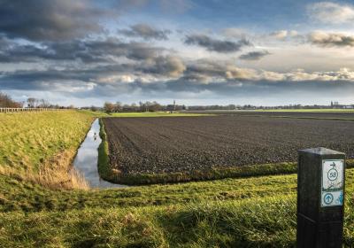 Nederlands platteland